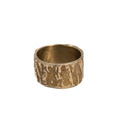 Bronze ring, Corno collection